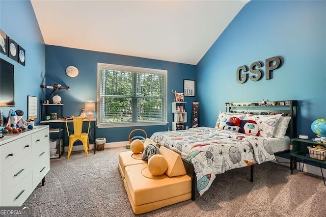 837 Brown Thrasher Way, Bremen, GA 30110 - bedroom with carpet, vaulted ceiling, and baseboards