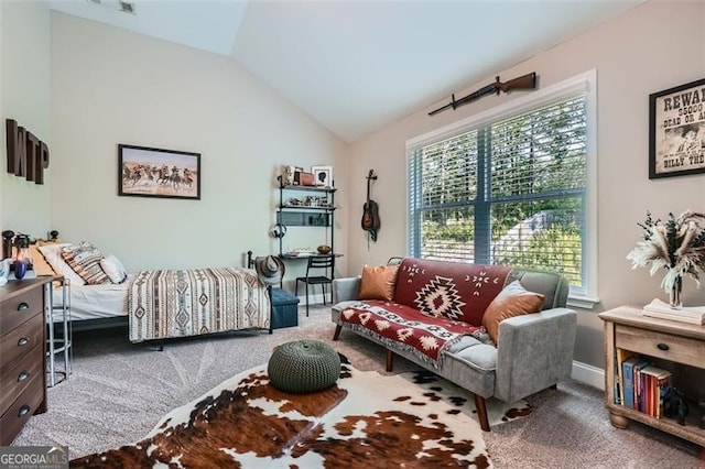 837 Brown Thrasher Way, Bremen, GA 30110 - bedroom featuring carpet floors and lofted ceiling