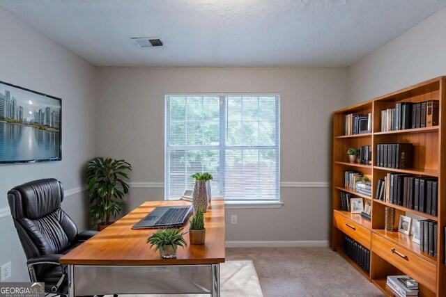 3075 Oakvale Hts, Decatur, GA 30034 - carpeted spare room with healthy amount of natural light, a textured ceiling, and baseboards