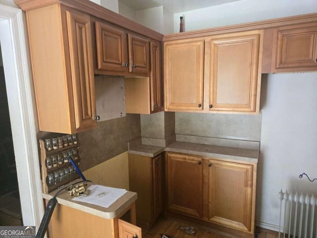 25 Candler Rd SE, Atlanta, GA 30317 - kitchen with radiator
