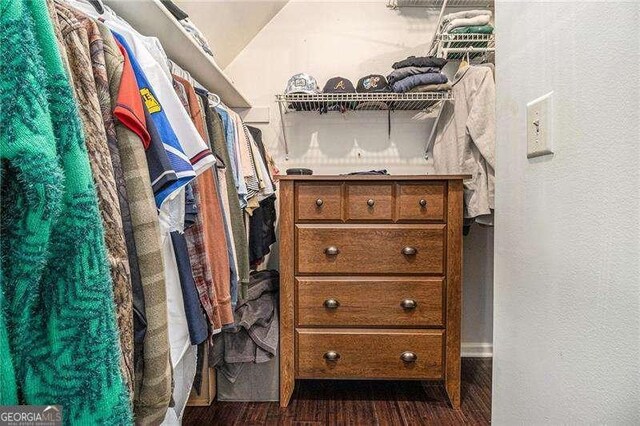 spacious closet featuring dark wood finished floors