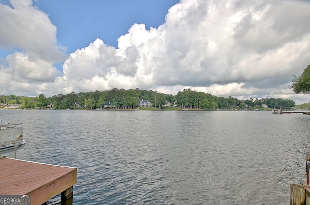 150 Bay Dr, Newnan, GA 30263 - water view