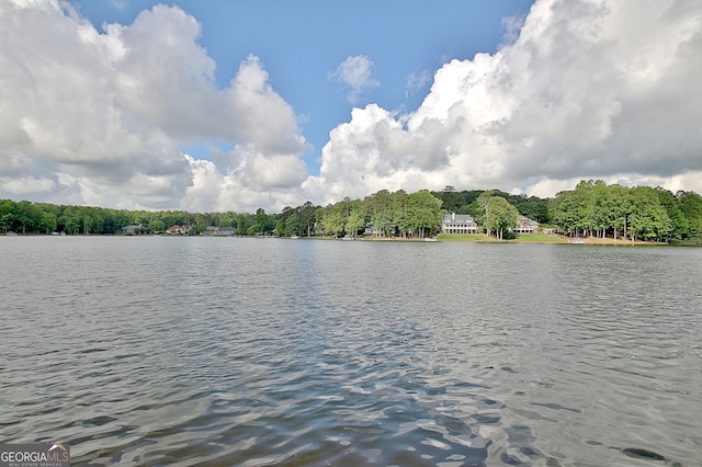 150 Bay Dr, Newnan, GA 30263 - water view