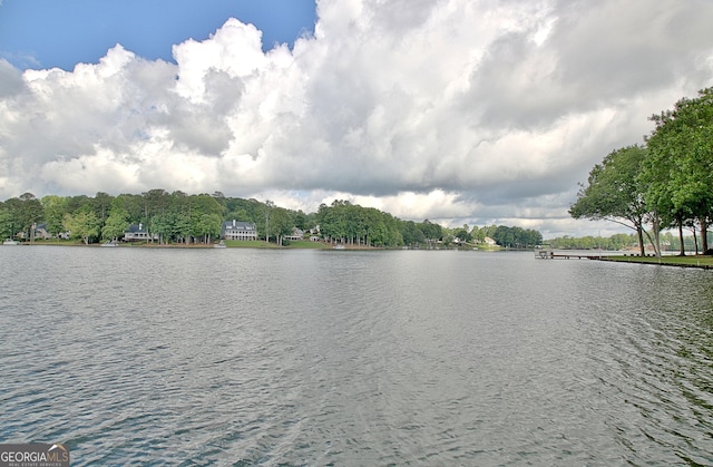 150 Bay Dr, Newnan, GA 30263 - water view