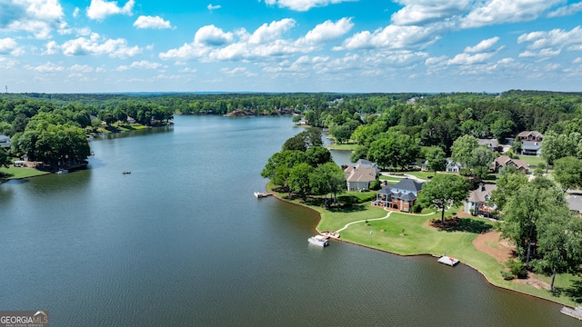 150 Bay Dr, Newnan, GA 30263 - bird's eye view of a large body of water and a forest