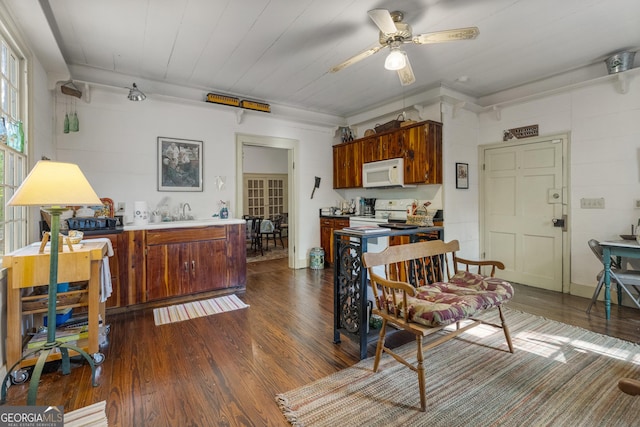 171 N Jefferson Ave, Talbotton, GA 31827 - dining space with dark wood-type flooring and ceiling fan