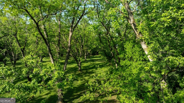 171 N Jefferson Ave, Talbotton, GA 31827 - view of nature