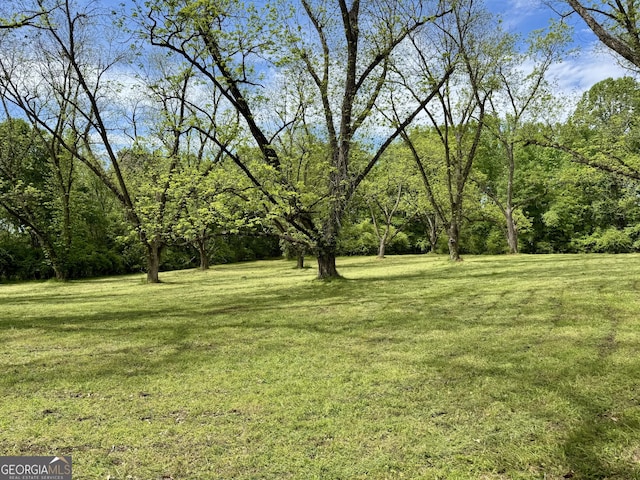 171 N Jefferson Ave, Talbotton, GA 31827 - view of green lawn featuring a wooded view