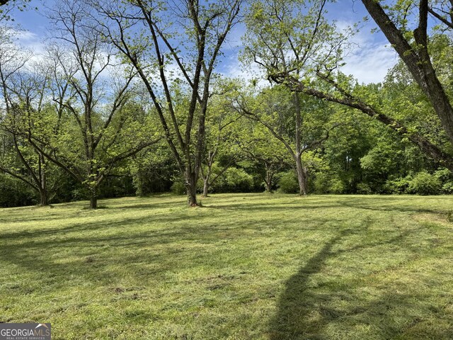 171 N Jefferson Ave, Talbotton, GA 31827 - view of green lawn featuring a wooded view