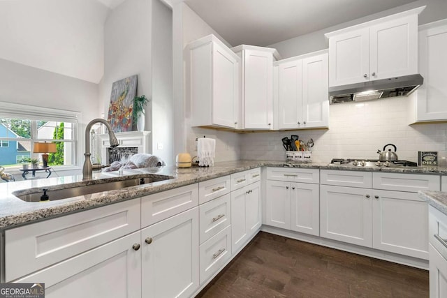 75 Georgian Oaks Ct, Newnan, GA 30265 - kitchen with a sink, under cabinet range hood, white cabinets, dark wood-style floors, and light stone countertops