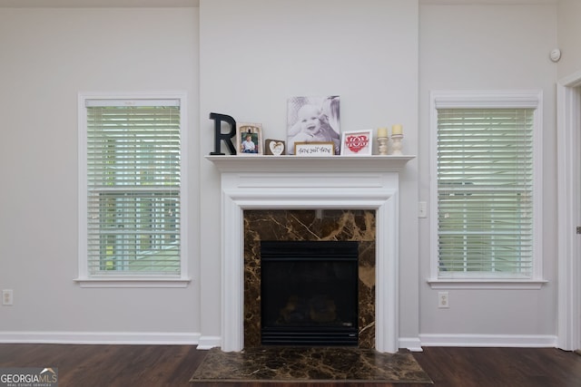 detailed view of wood finished floors, a high end fireplace, and baseboards