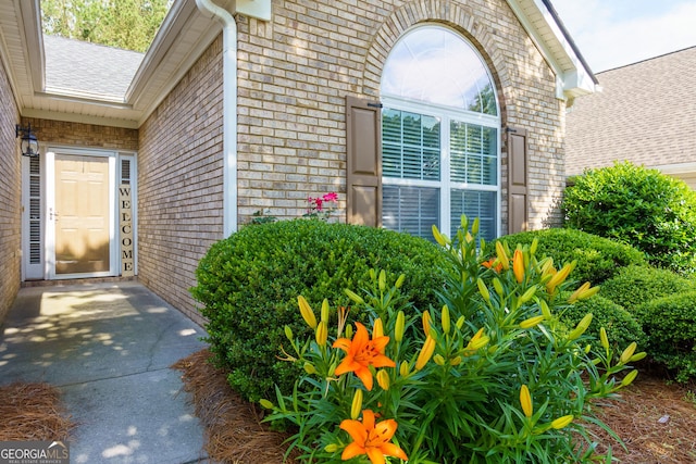 doorway to property with brick siding and roof with shingles