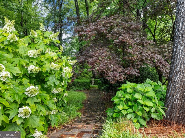 2910 Waverly Place Dr, Dacula, GA 30019 - view of yard
