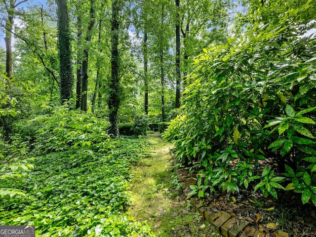 2910 Waverly Place Dr, Dacula, GA 30019 - view of local wilderness