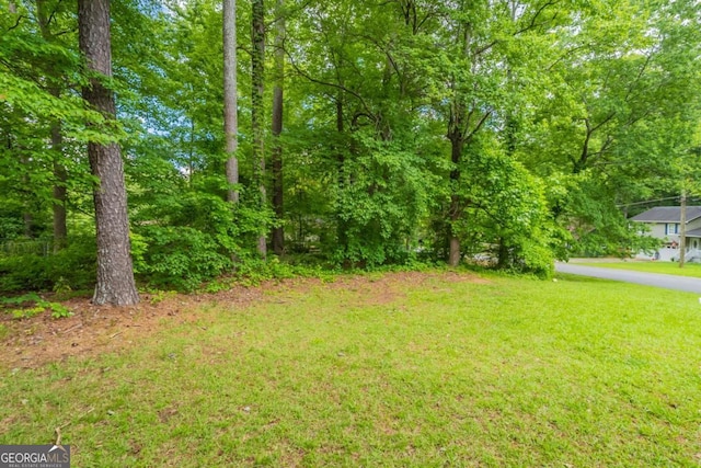 6015 Sumit Ct NW, Kennesaw, GA 30152 - view of grassy yard