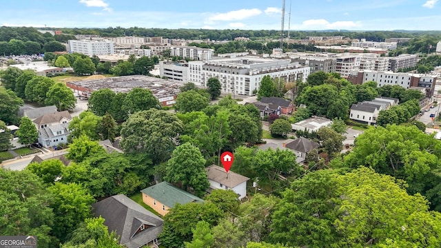 210 Estoria St SE, Atlanta, GA 30316 - aerial view of a tree filled landscape