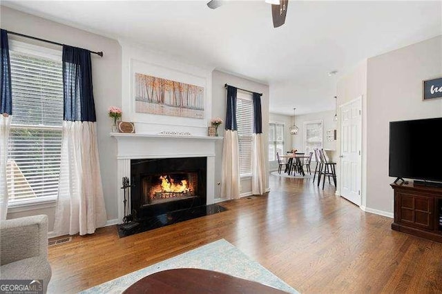 101 Misty Valley Dr, Canton, GA 30114 - living room featuring ceiling fan, wood finished floors, a fireplace with flush hearth, and baseboards