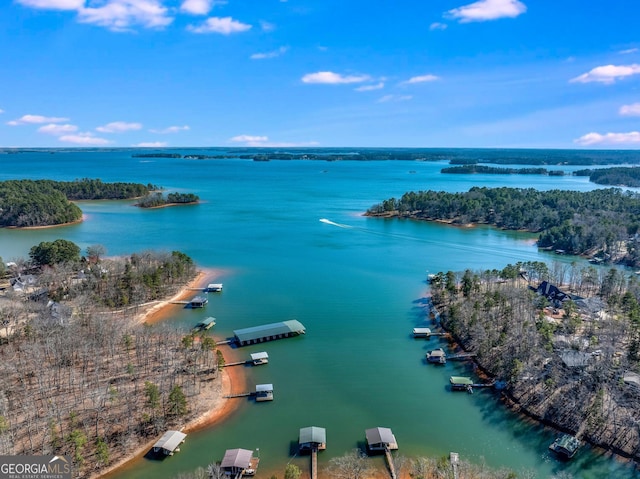 85 Majestic Shores Trl, Hartwell, GA 30643 - bird's eye view of a nearby body of water