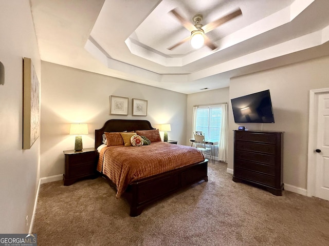 34 Pine Grove Rd, Cartersville, GA 30120 - carpeted bedroom with a tray ceiling, baseboards, and a ceiling fan