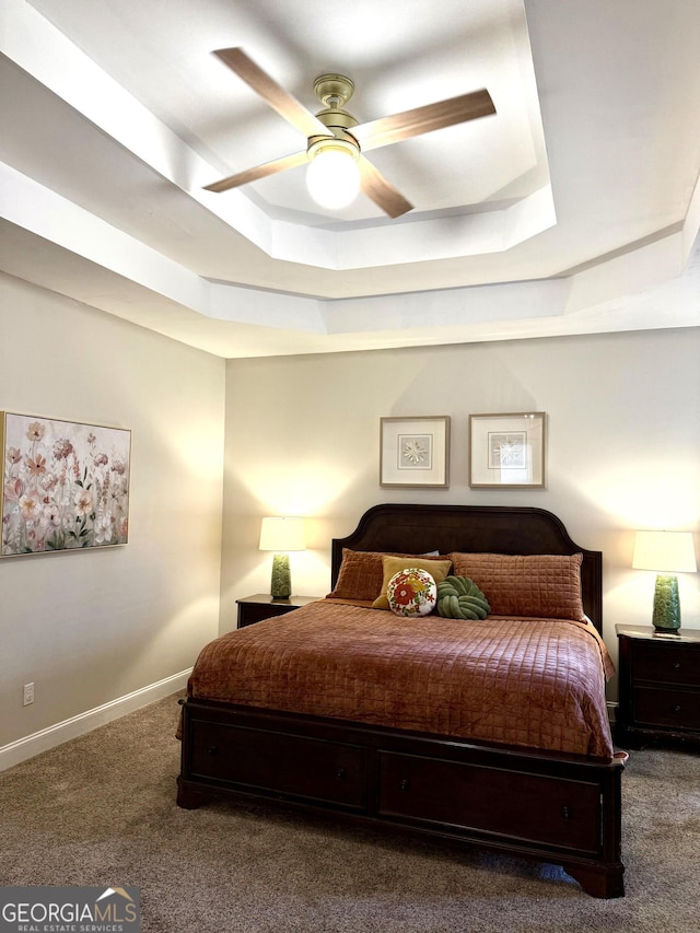 34 Pine Grove Rd, Cartersville, GA 30120 - bedroom with a tray ceiling, carpet floors, baseboards, and a ceiling fan