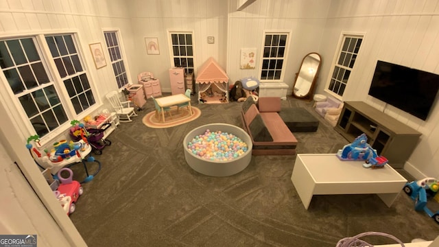 34 Pine Grove Rd, Cartersville, GA 30120 - rec room featuring carpet flooring