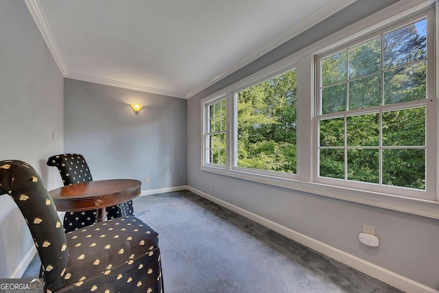 living area with baseboards, carpet floors, and crown molding