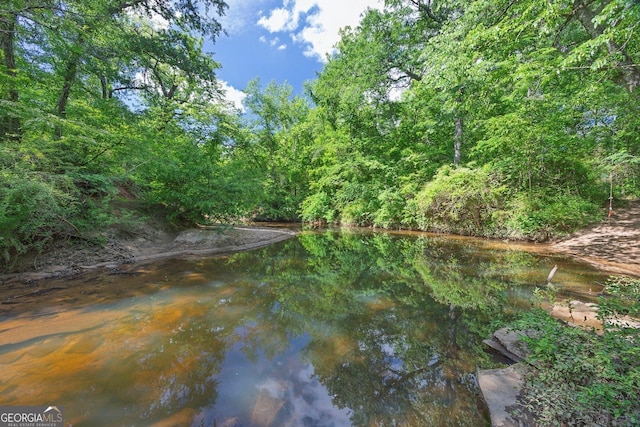 water view featuring a heavily wooded area