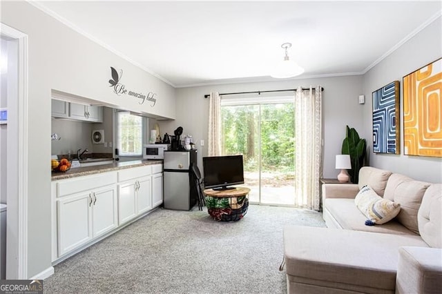 2620 Clairmont Rd, Atlanta, GA 30329 - living area with light colored carpet and ornamental molding