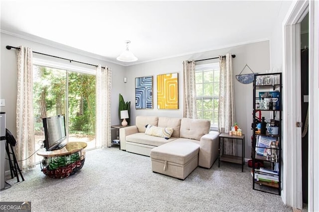 2620 Clairmont Rd, Atlanta, GA 30329 - carpeted living room featuring crown molding