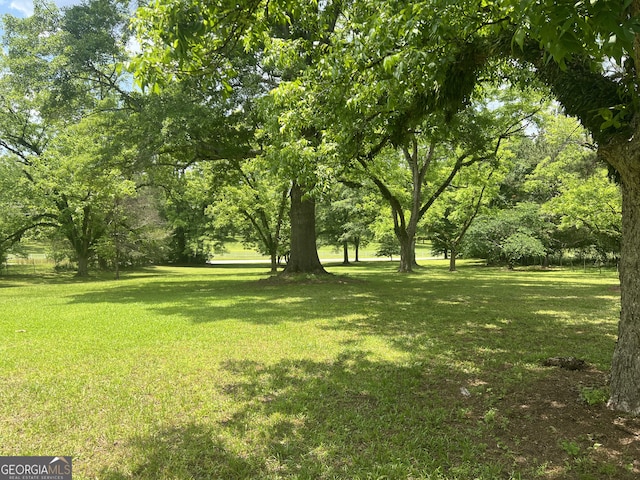 view of grassy yard
