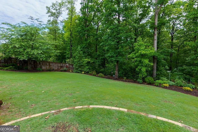 view of yard