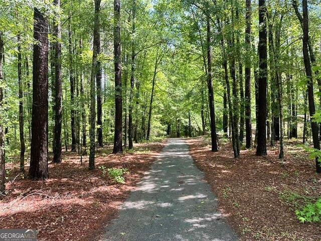 230 Vaughn Cir, Griffin, GA 30223