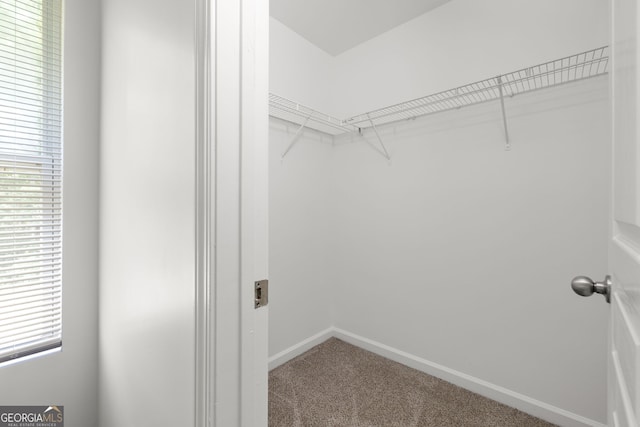4457 Watson Ridge Dr, Stone Mountain, GA 30083 - walk in closet with carpet flooring