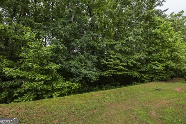 4457 Watson Ridge Dr, Stone Mountain, GA 30083 - view of green lawn