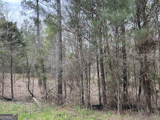 0 Hornets Bridge Dr, Elberton, GA 30635