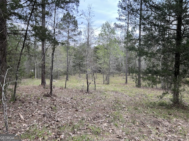 0 Hornets Bridge Dr, Elberton, GA 30635