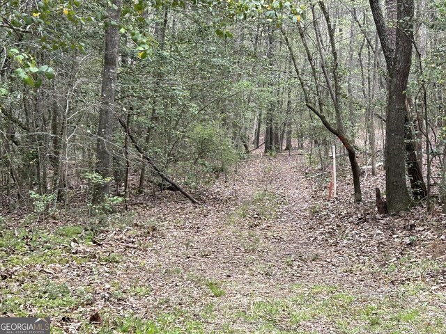 0 Hornets Bridge Dr, Elberton, GA 30635
