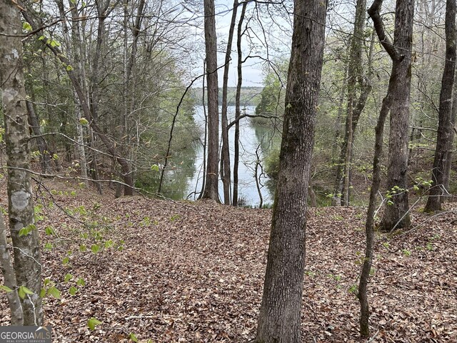 0 Hornets Bridge Dr, Elberton, GA 30635