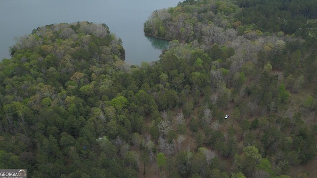 0 Hornets Bridge Dr, Elberton, GA 30635