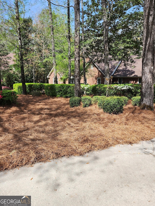 213 Falcon Crst, Warner Robins, GA 31088 - view of yard