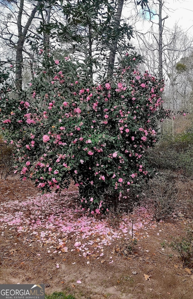 213 Falcon Crst, Warner Robins, GA 31088 - view of undeveloped land