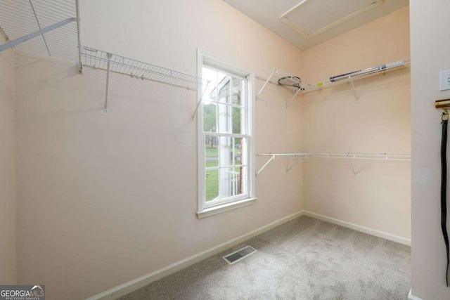 2430 Harbin Springs Cv, Dacula, GA 30019 - spacious closet featuring carpet flooring and attic access