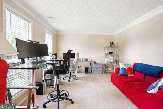 4549 Clarks Creek Ter, Ellenwood, GA 30294 - carpeted home office with crown molding and a textured ceiling