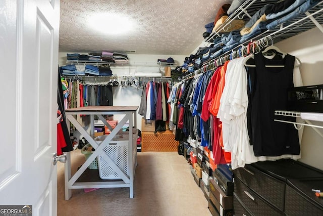 4549 Clarks Creek Ter, Ellenwood, GA 30294 - walk in closet with carpet flooring