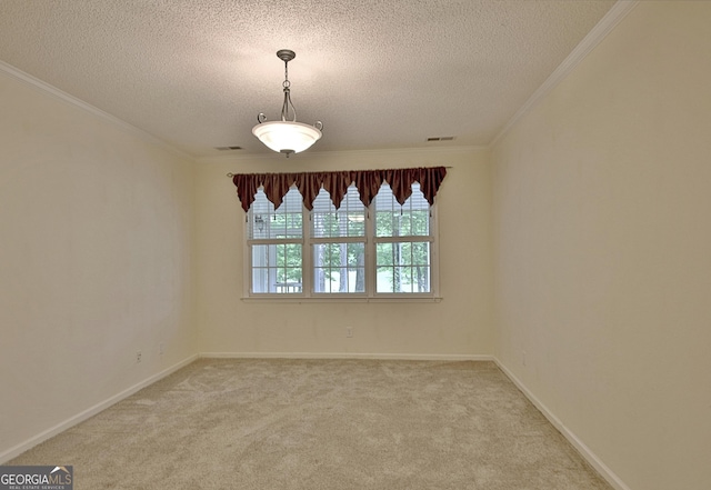 44 Arbor Way, Newnan, GA 30265 - spare room featuring a textured ceiling, light carpet, ornamental molding, and baseboards