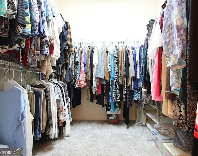 44 Arbor Way, Newnan, GA 30265 - spacious closet with carpet floors