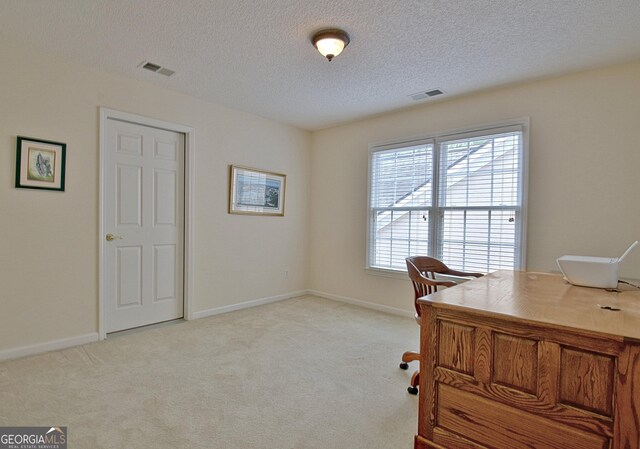44 Arbor Way, Newnan, GA 30265 - office space with plenty of natural light, light carpet, a textured ceiling, and baseboards
