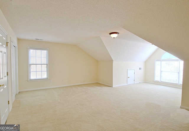 44 Arbor Way, Newnan, GA 30265 - bonus room featuring carpet, vaulted ceiling, and a textured ceiling