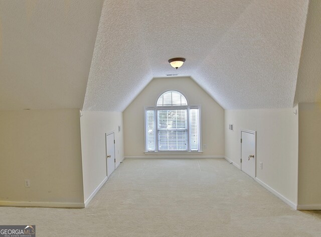 44 Arbor Way, Newnan, GA 30265 - additional living space with a textured ceiling, carpet floors, baseboards, and lofted ceiling