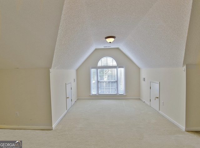 44 Arbor Way, Newnan, GA 30265 - additional living space with a textured ceiling, carpet floors, and vaulted ceiling